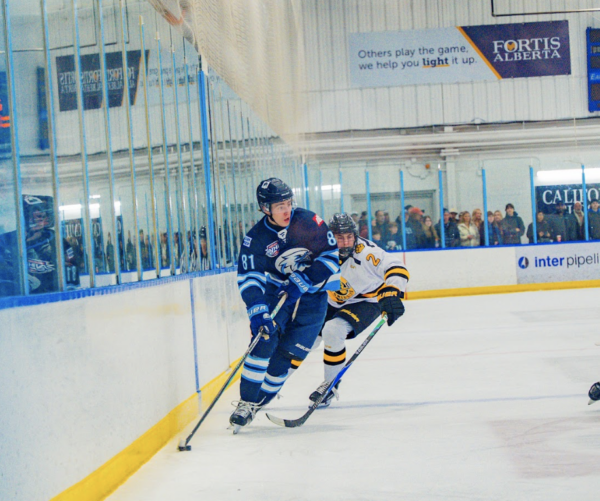 Eagles split keeps team top of the South