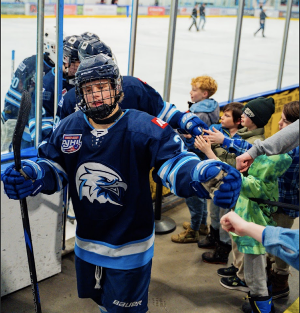 Sensational Scheiwiller